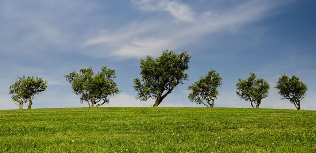 applicazione del contributo ambientale